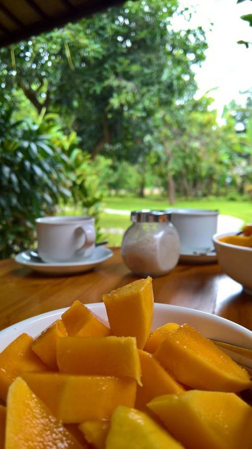 Mango Tree Inn Pemuteran Dış mekan fotoğraf